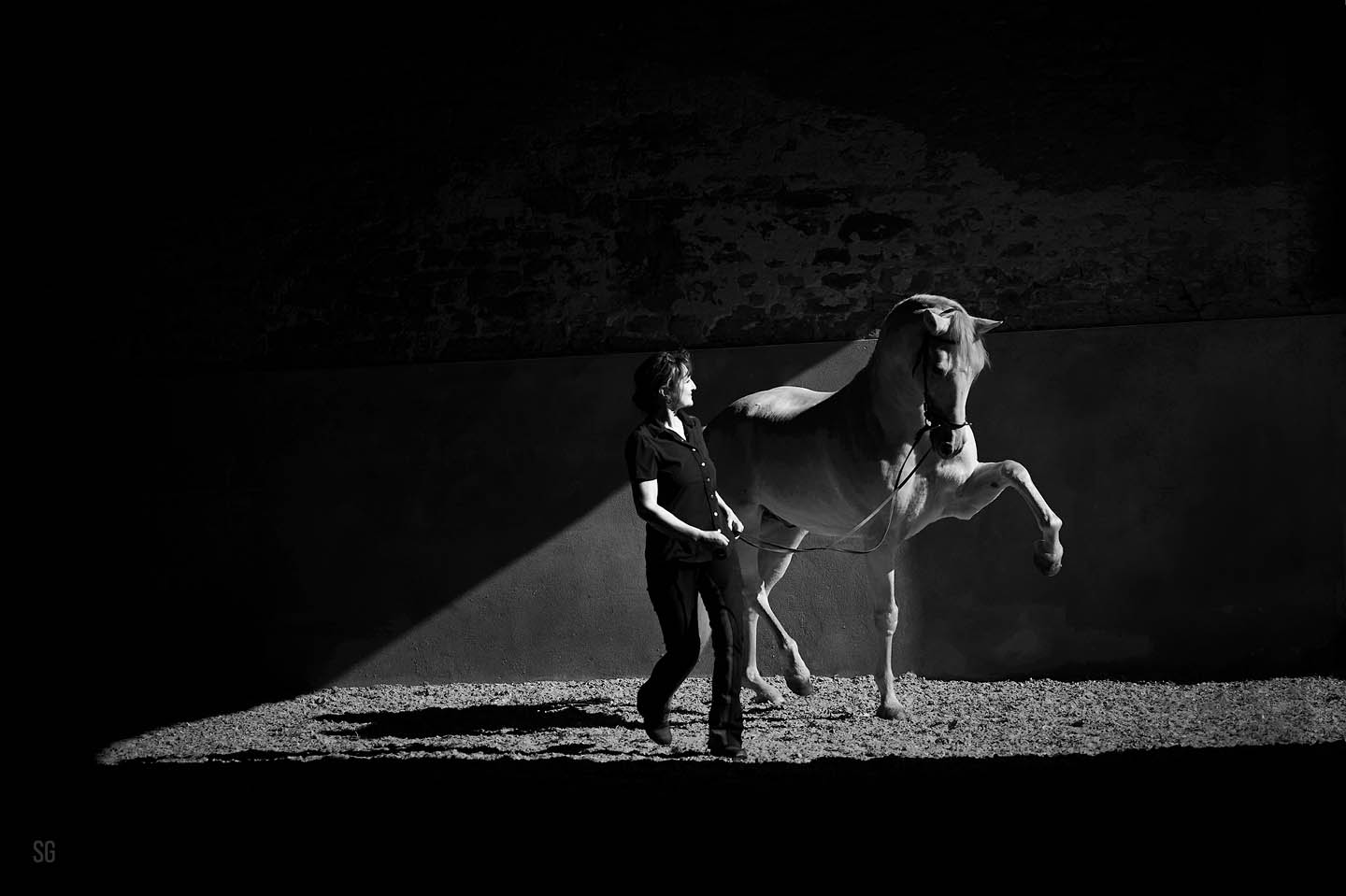 Klassische Reitkunst –
Sonja Weber